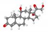 cortisol molecular model